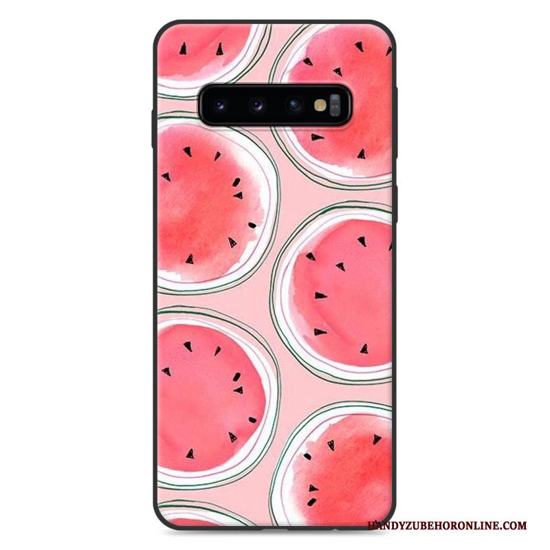 Samsung Galaxy S10+ Ster Hoesje Telefoon Geschilderd Siliconen Nieuw Bescherming Landschap