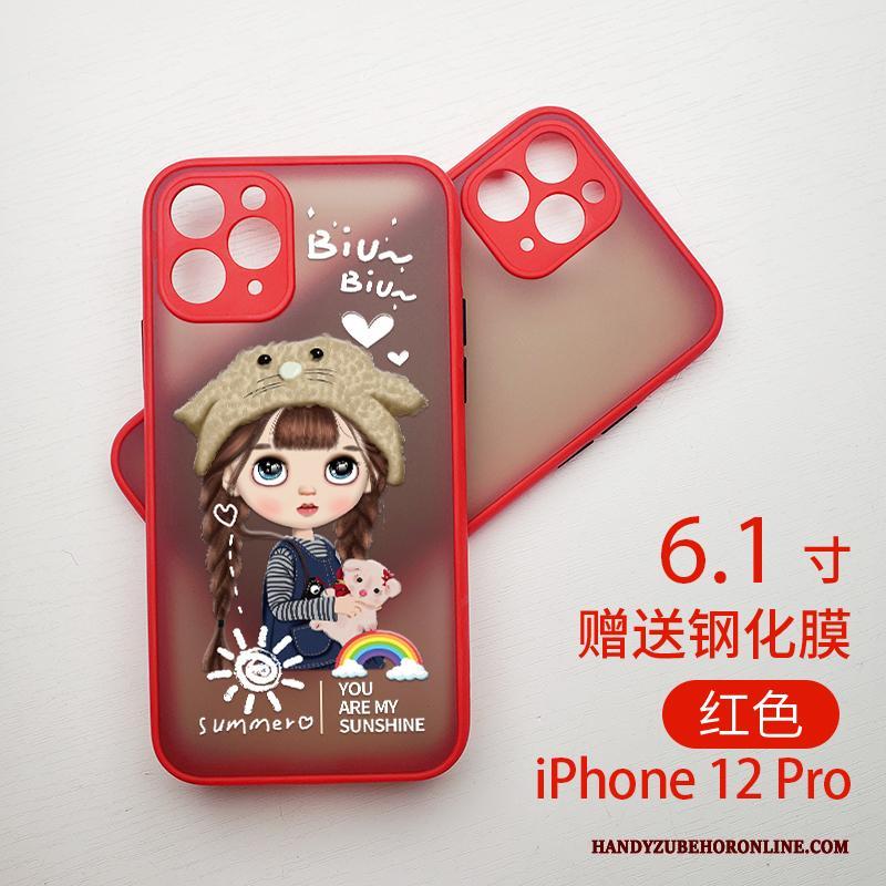 iPhone 12 Pro Mini Schrobben Hoesje Telefoon Trendy Merk Spotprent Mooie Hard