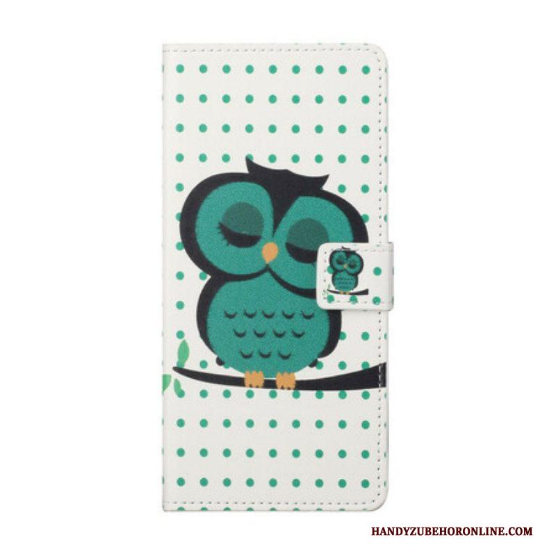 Flip Case voor iPhone 13 Pro Slapende Uil