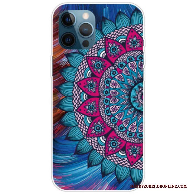 Hoesje voor iPhone 14 Pro Kleurrijke Mandala